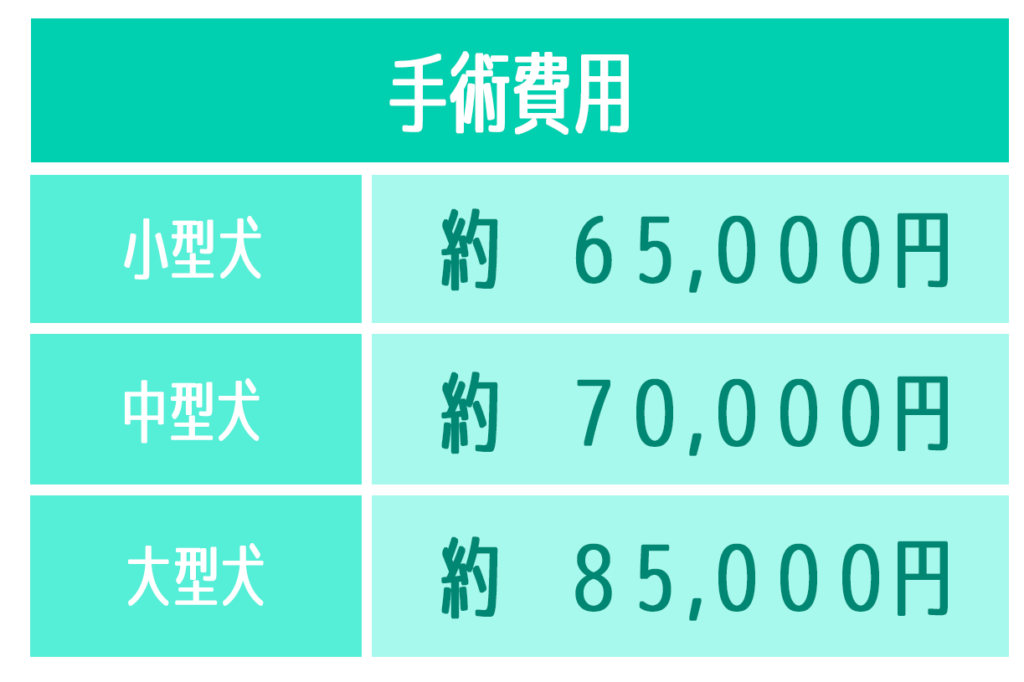 ペットがもし病気や怪我をしたら 治療費ってどのくらい ペット火葬真愛メモリアル