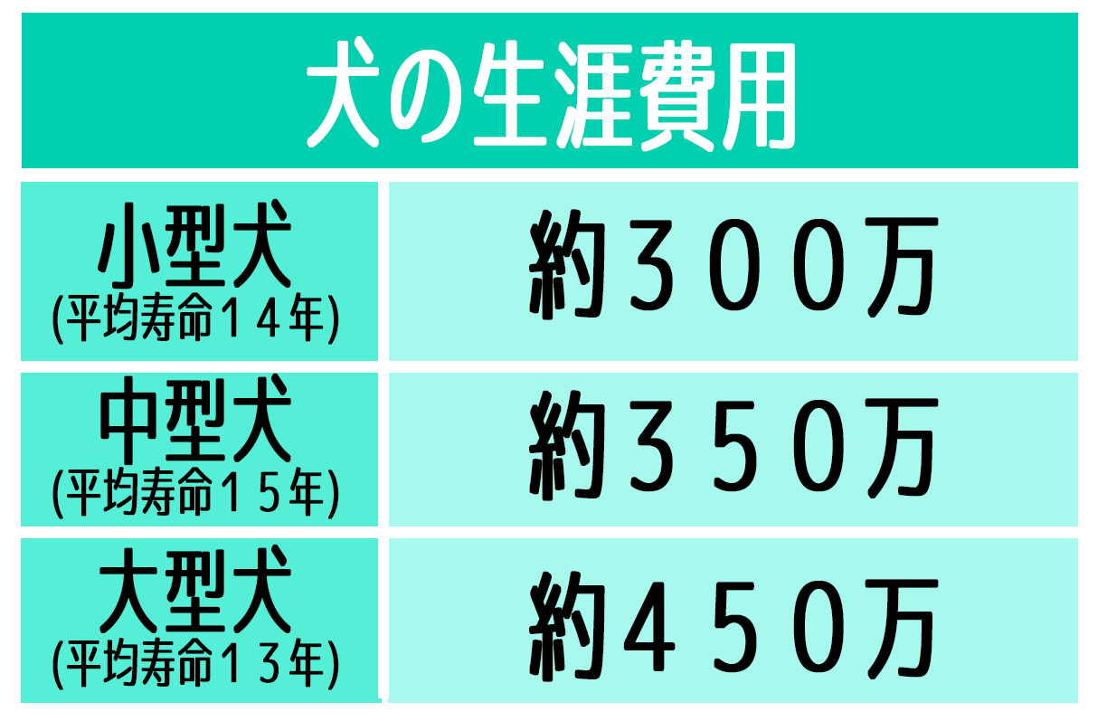 コロナで空前のペットブーム！犬の生涯費用ってどれくらい？ | ペット火葬真愛メモリアル